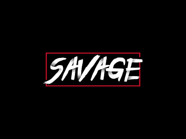 savage 意味 スラング 使い方 読み方 英語表現