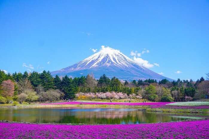 登山 英語 トレッキング 山登り 山に登る 山を登る 登山家 登山者 富士登山